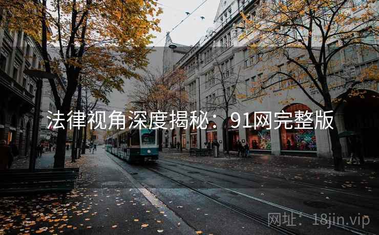 法律视角深度揭秘:91网完整版