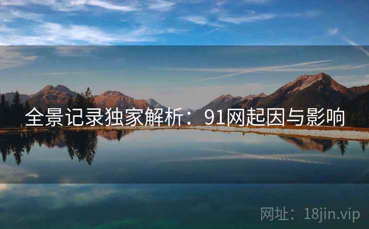 全景记录独家解析:91网起因与影响