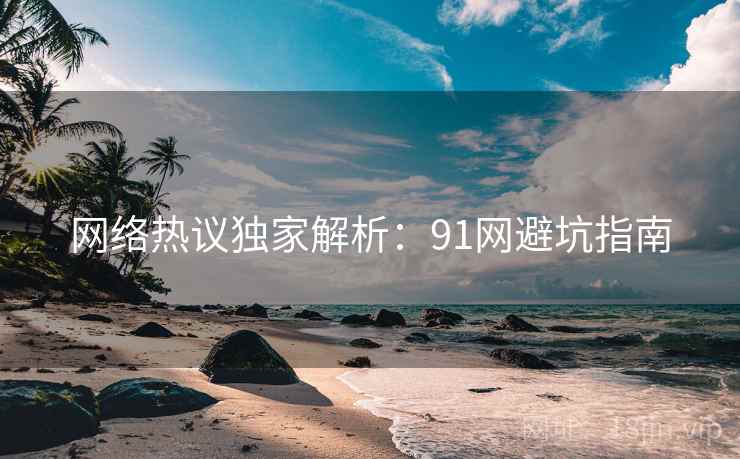网络热议独家解析:91网避坑指南